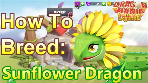 how to breed sunflower dragon in dragon mania legends In This Video I Make Tutorial How To Breed Dragon in Dragon Mania Legends For Other Video Check My ChannelTag :Abyss Dragon, Agave Dragon, Agnes Dragon, Alie